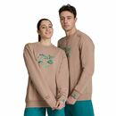 Arena bluza Crew Sweat Logo caramelo
