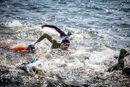 Zoggs pianka triathlonowa męska Predator Pro
